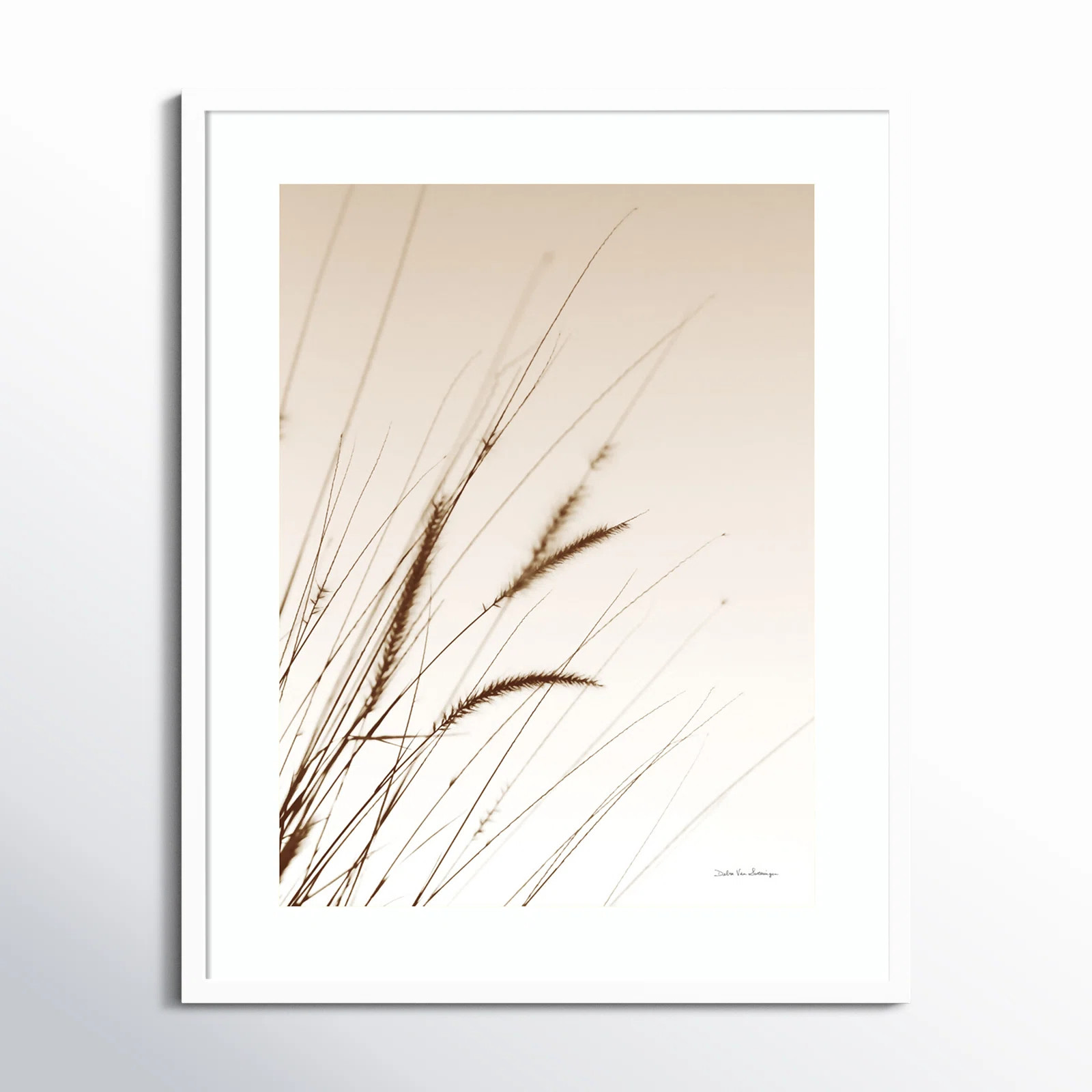 Birch Lane™ Field Grasses I Sepia by Debra Van Swearingen - Picture Frame Photograph | Wayfair | Wayfair North America