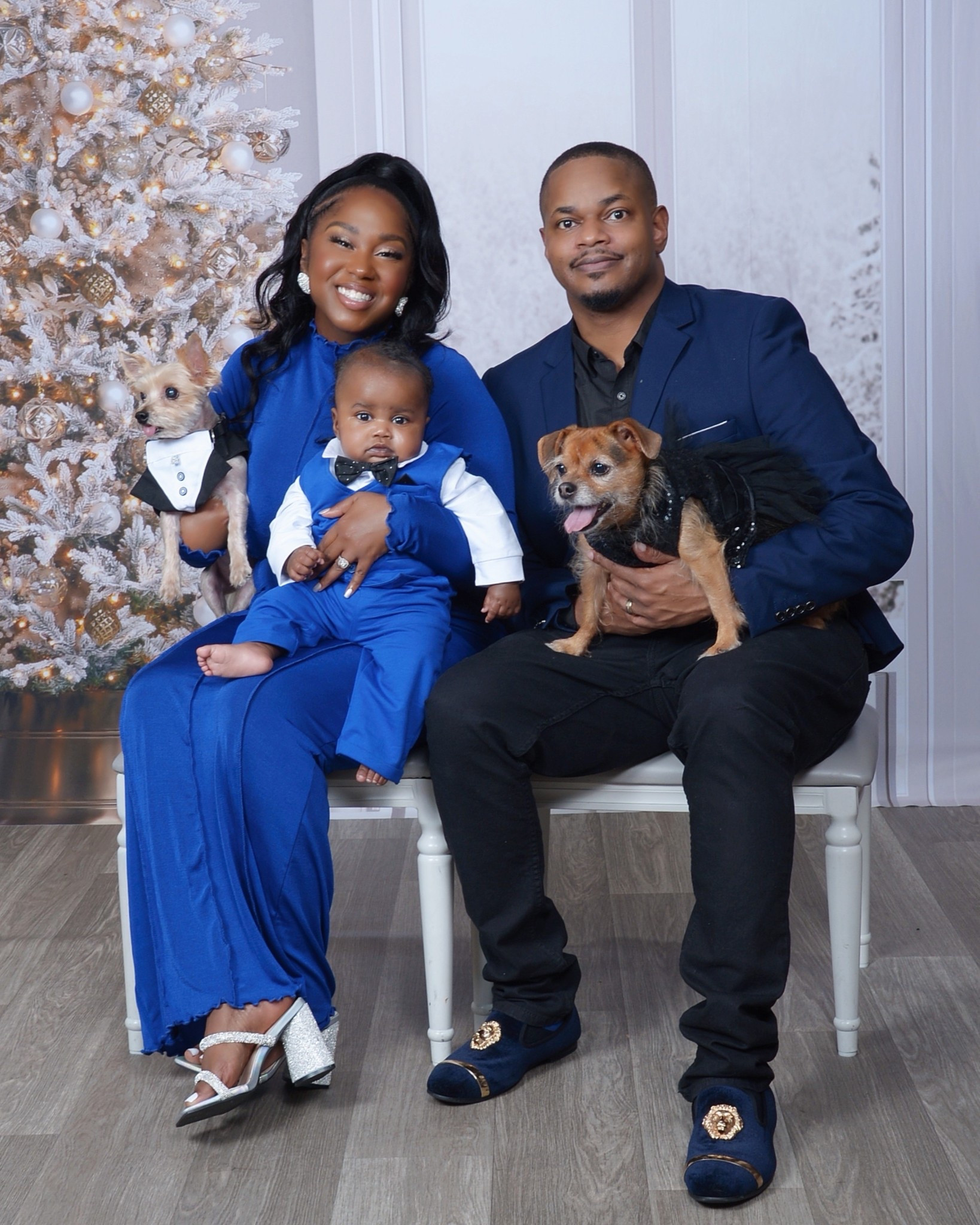 Family photos featuring infant and dogs

#LTKHoliday #LTKSeasonal