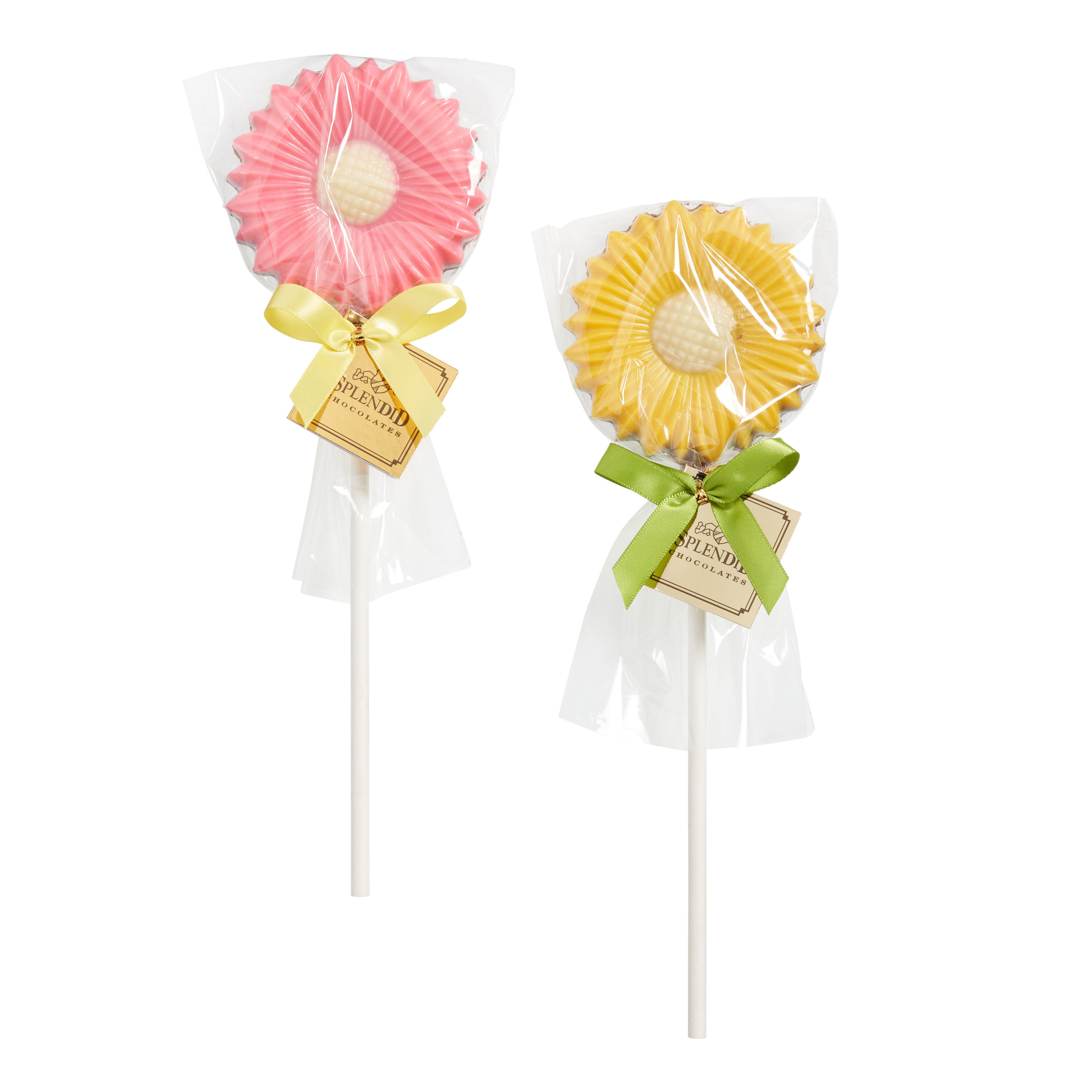 Milk Chocolate Daisy Lollipop | World Market