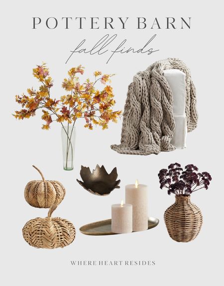 Pottery Barn fall finds and favorites 🍁

#LTKhome #LTKSeasonal