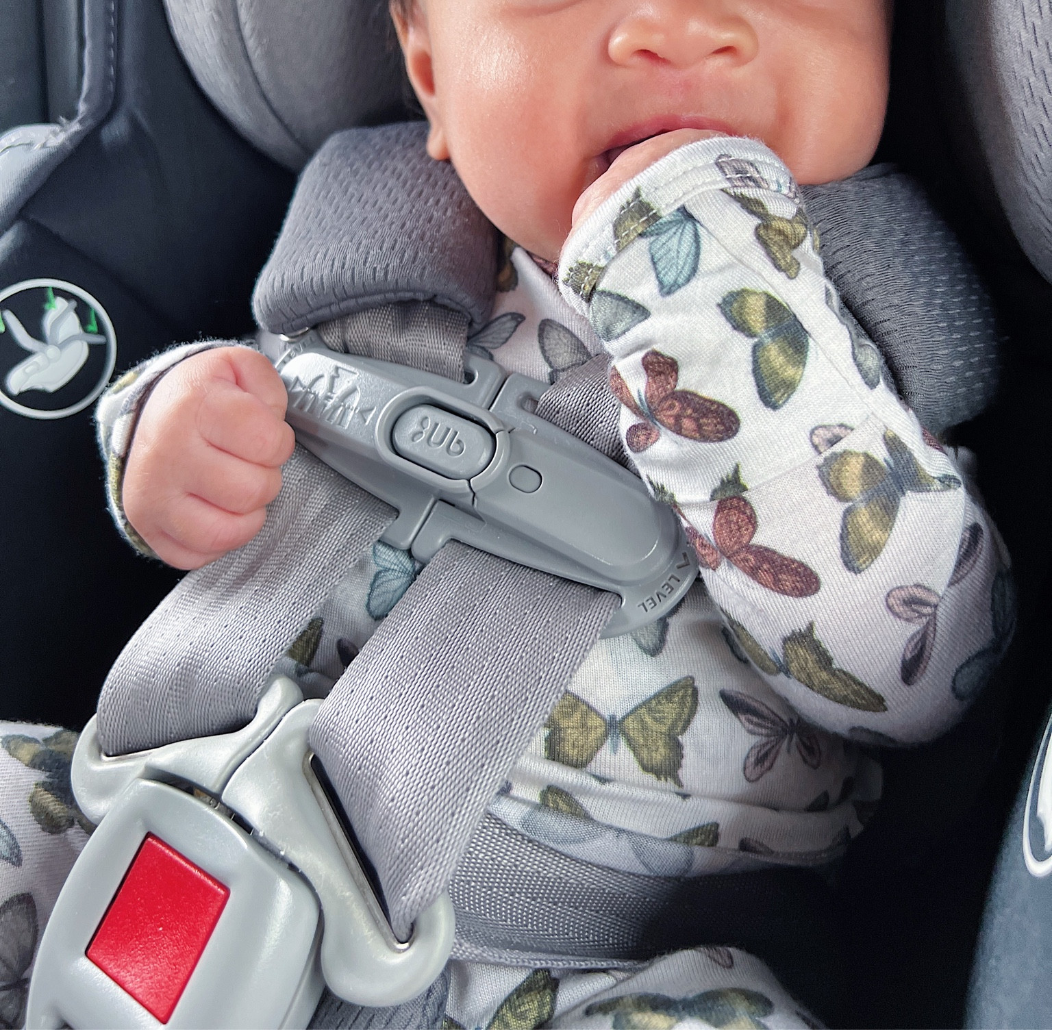 Butterfly Pajamas by Solly Baby 



Baby PJ’s, newborn sets, infant pajama set, infant car seat, Spring Outfit set, baby registry ideas, baby shower ideas 

#LTKkids #LTKbump #LTKbaby