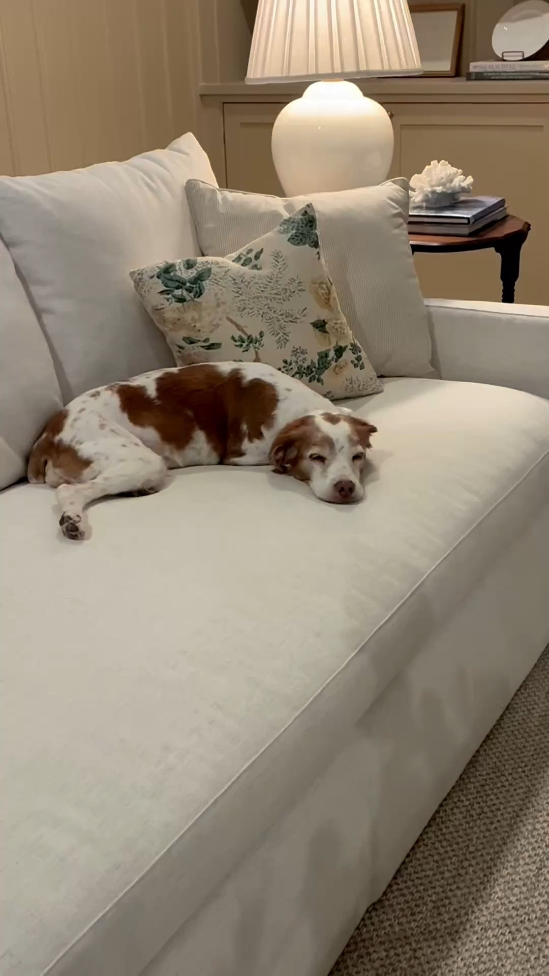 Remi's favorite corner! This rug is amazing and a great price! I just bought a second one! I can't link my exact sofa but linked some similar looking ones!
