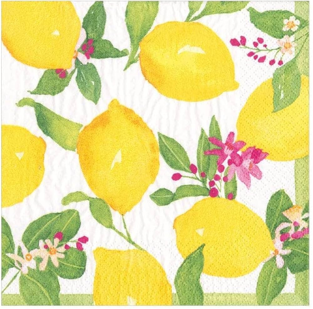 Caspari Limoncello Paper Cocktail Napkins - 20 Per Box | Amazon (US)