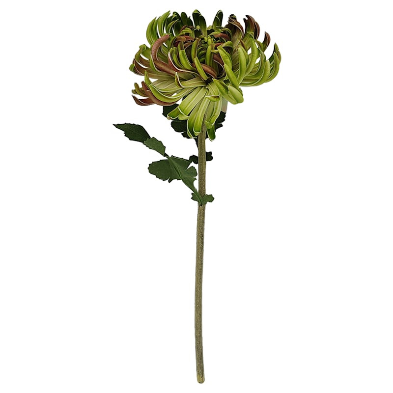 Green Real Feel Chrysanthemum Floral Stem, 12" | At Home