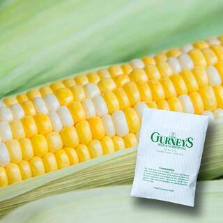 0.50 lb. Sweet Corn Gotta Have It Hybrid (Seed Packet) | The Home Depot