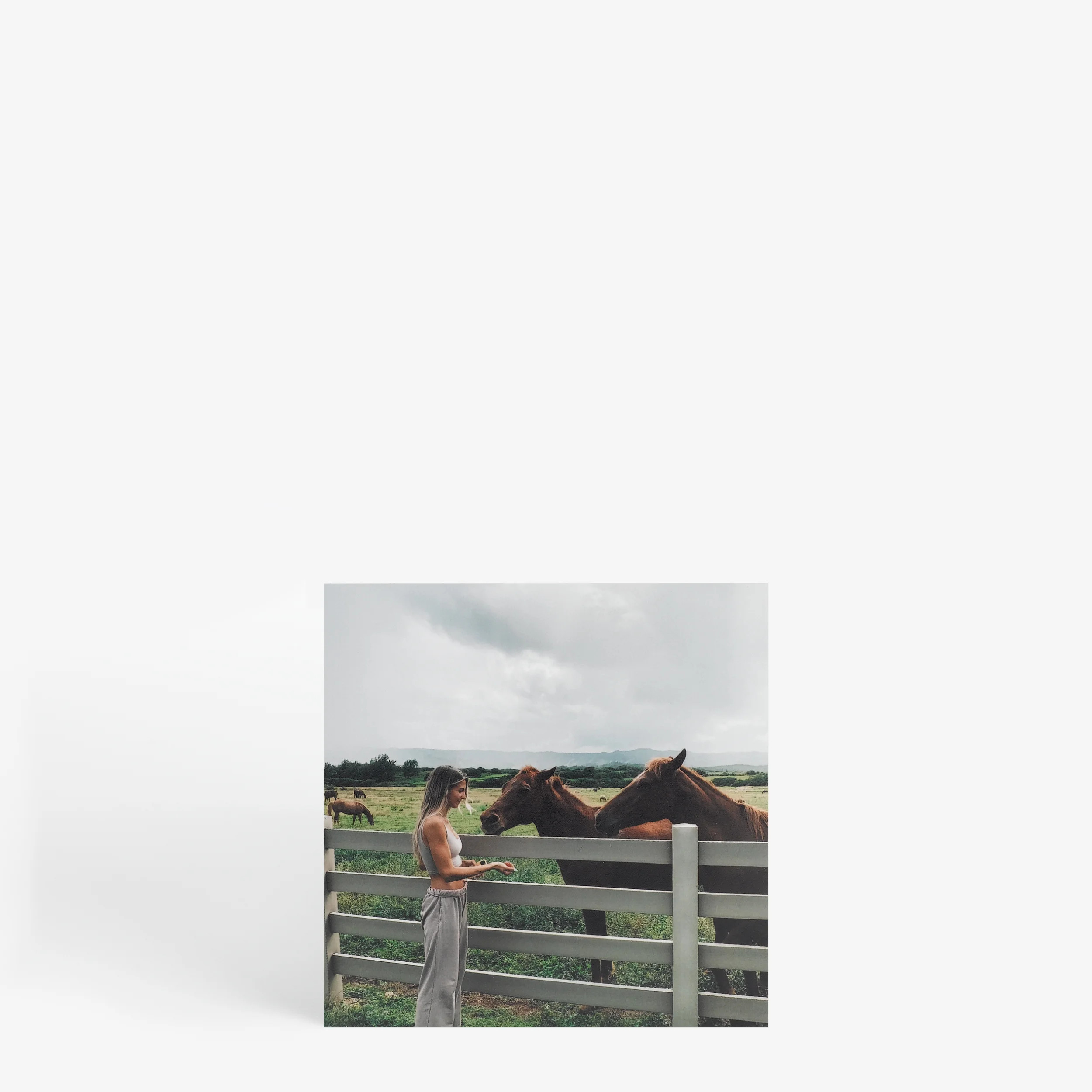 Lustre Photo Prints | Artifact Uprising