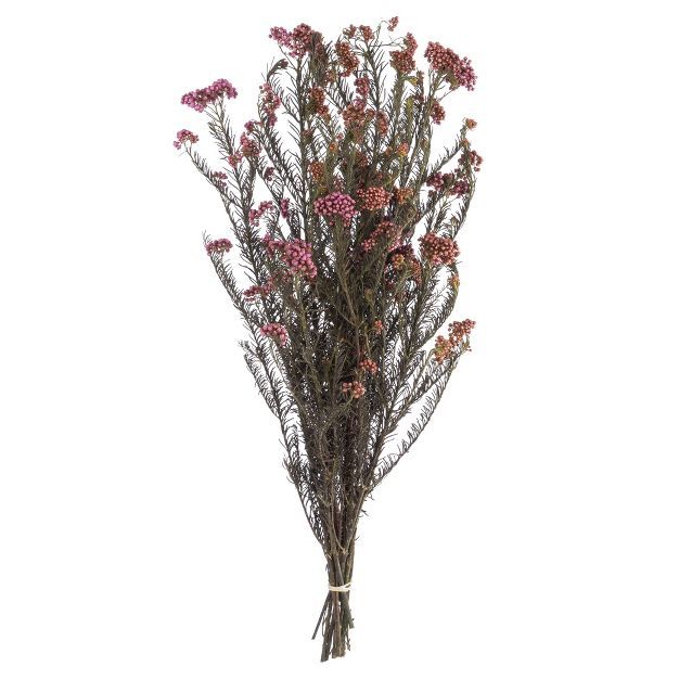 Vickerman All Natural Rice Flower, Preserved | Target