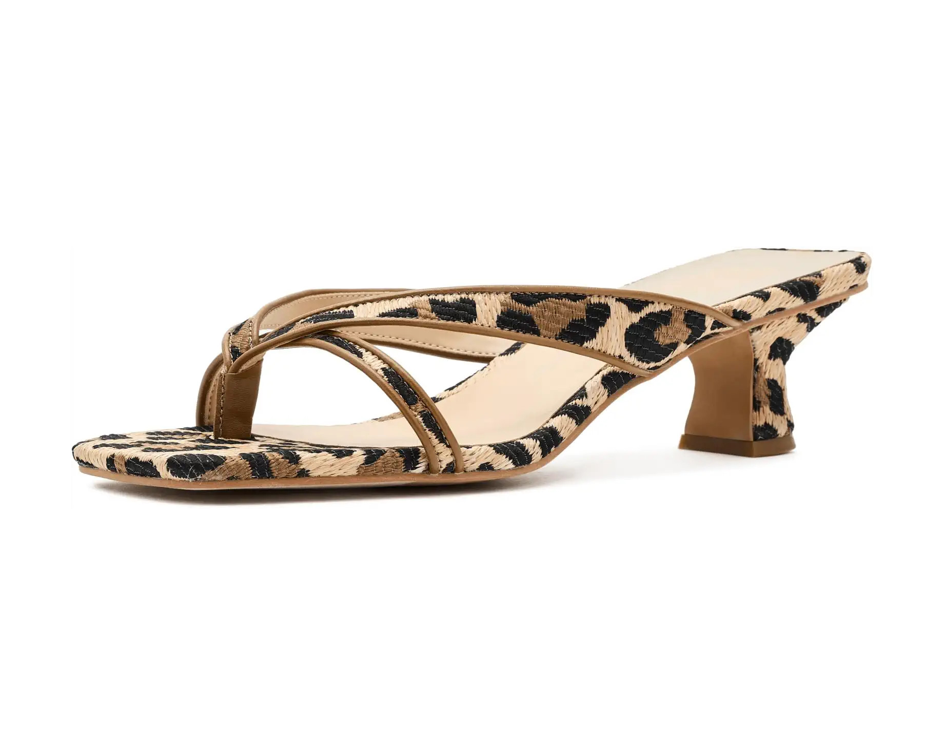 Women's Dolce Vita Brevel | Zappos.com