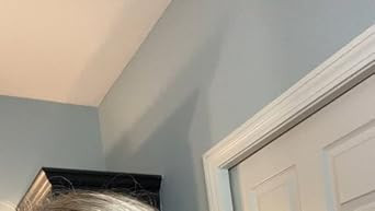 Olaplex No 6 Bond Smoother, 3.3 Fl Oz | Amazon (US)