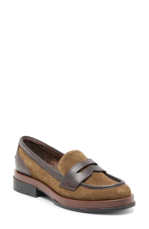 Dolce Vita Abey Penny Loafer in Olive Suede at Nordstrom, Size 7.5 | Nordstrom