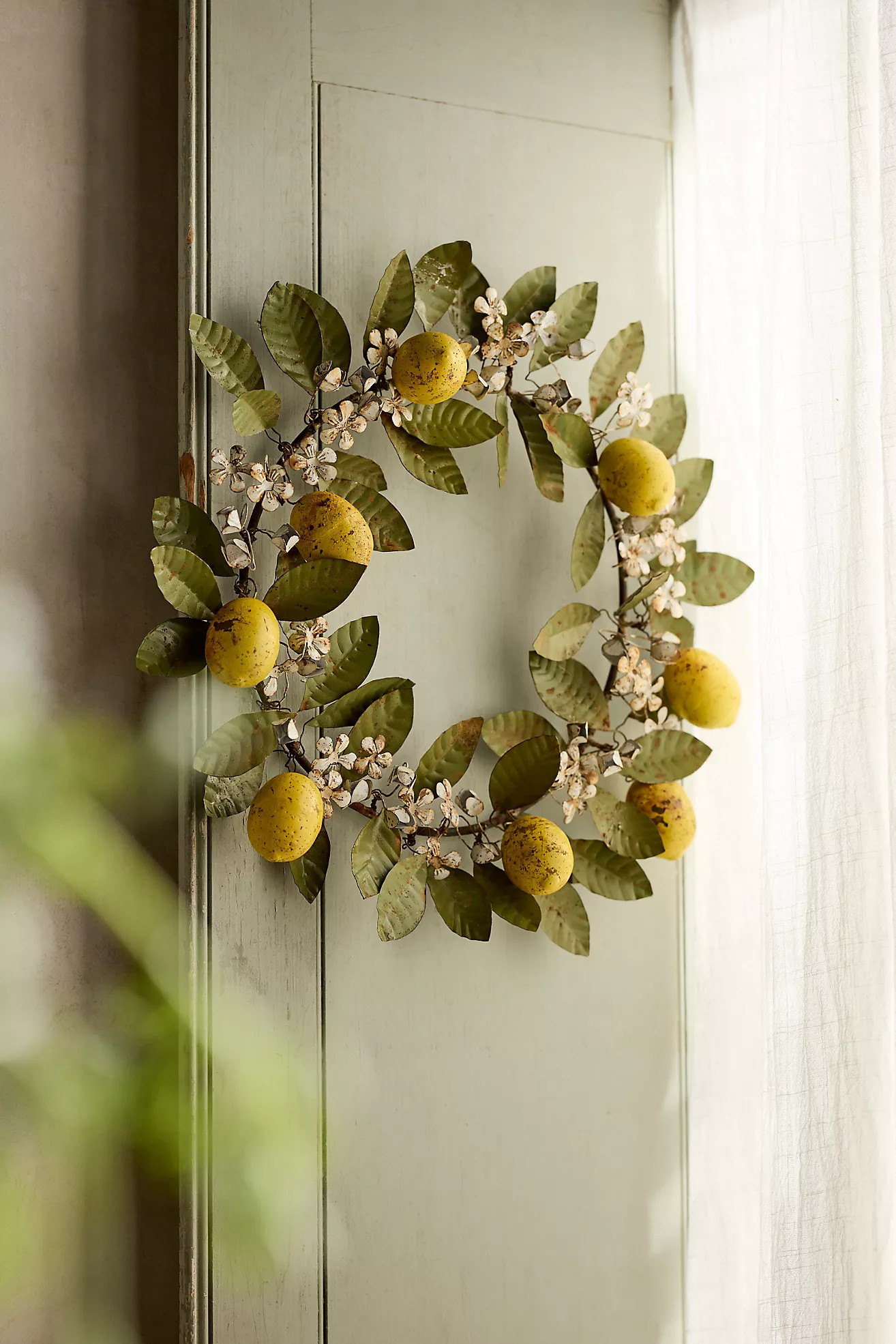 Lemon Vine Iron Wreath | Anthropologie (US)