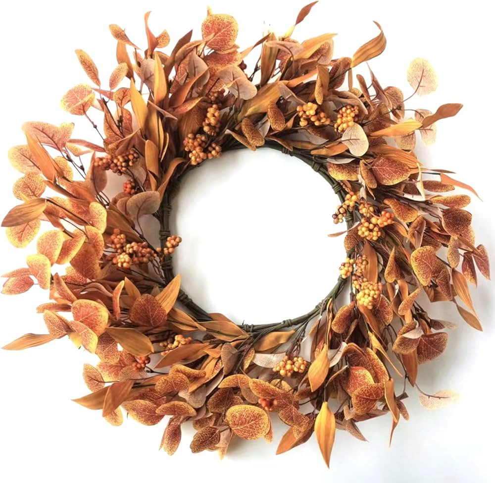 Bomao 24 inch Front Door Wreath, Decorative Fall Wreath, Berry Wreath, Eucalyptus Wreath, Farmhou... | Amazon (CA)