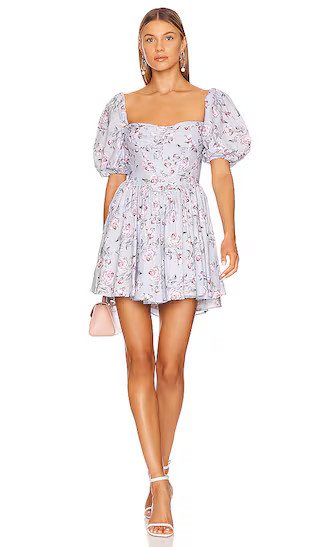 Kiah Corset Mini Dress in Rose Floral | Revolve Clothing (Global)
