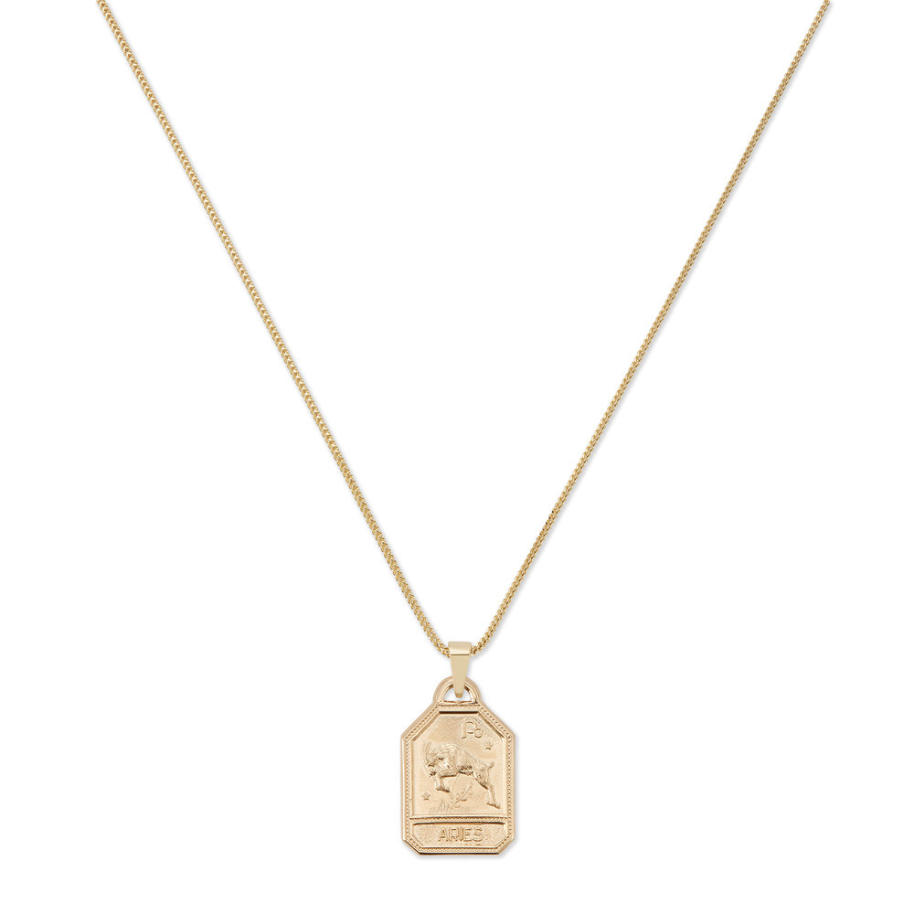 Ariel Gordon Zodiac 14K Yellow-Gold Dog Tag in Yellow Gold | goop