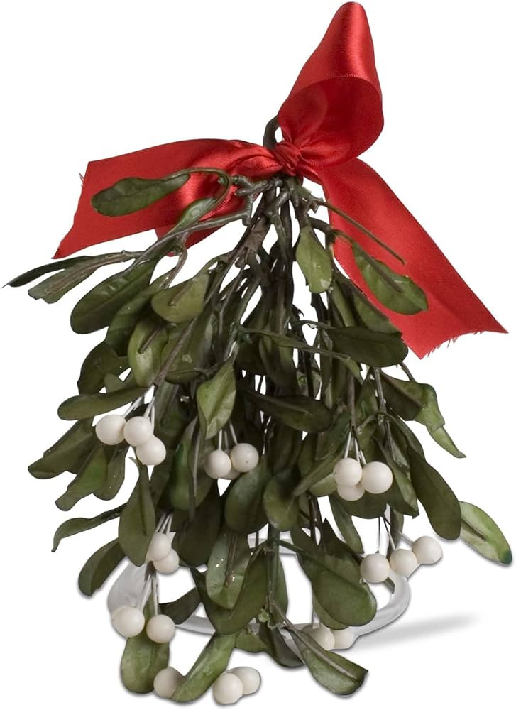 tag Christmas Dark Green Artificial Hanging Mistletoe with White Berries, 9.5 in Dark Green | Amazon (US)