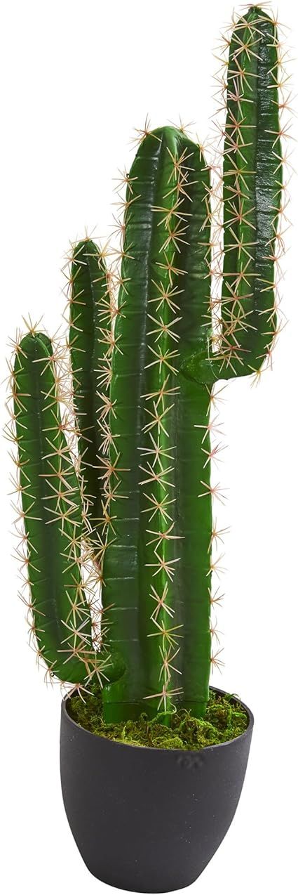 Nearly Natural 3' Cactus Artificial Plant, Green 2.5ft. | Amazon (US)