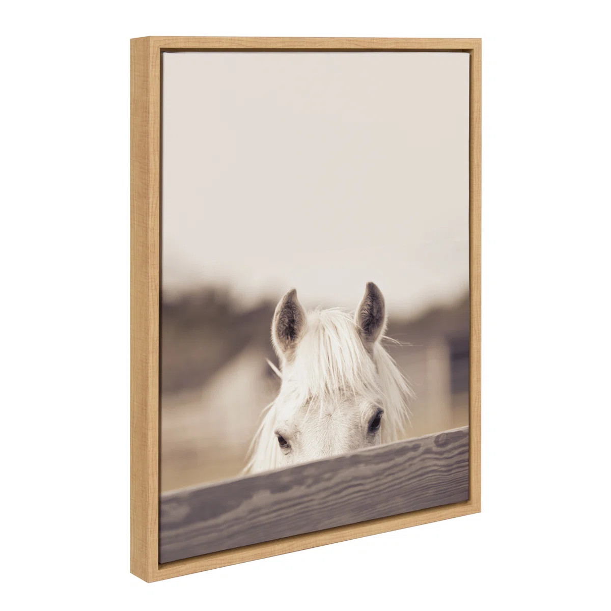 Equine by Robert Cadloff Framed Canvas Wall Art Print | Wayfair North America