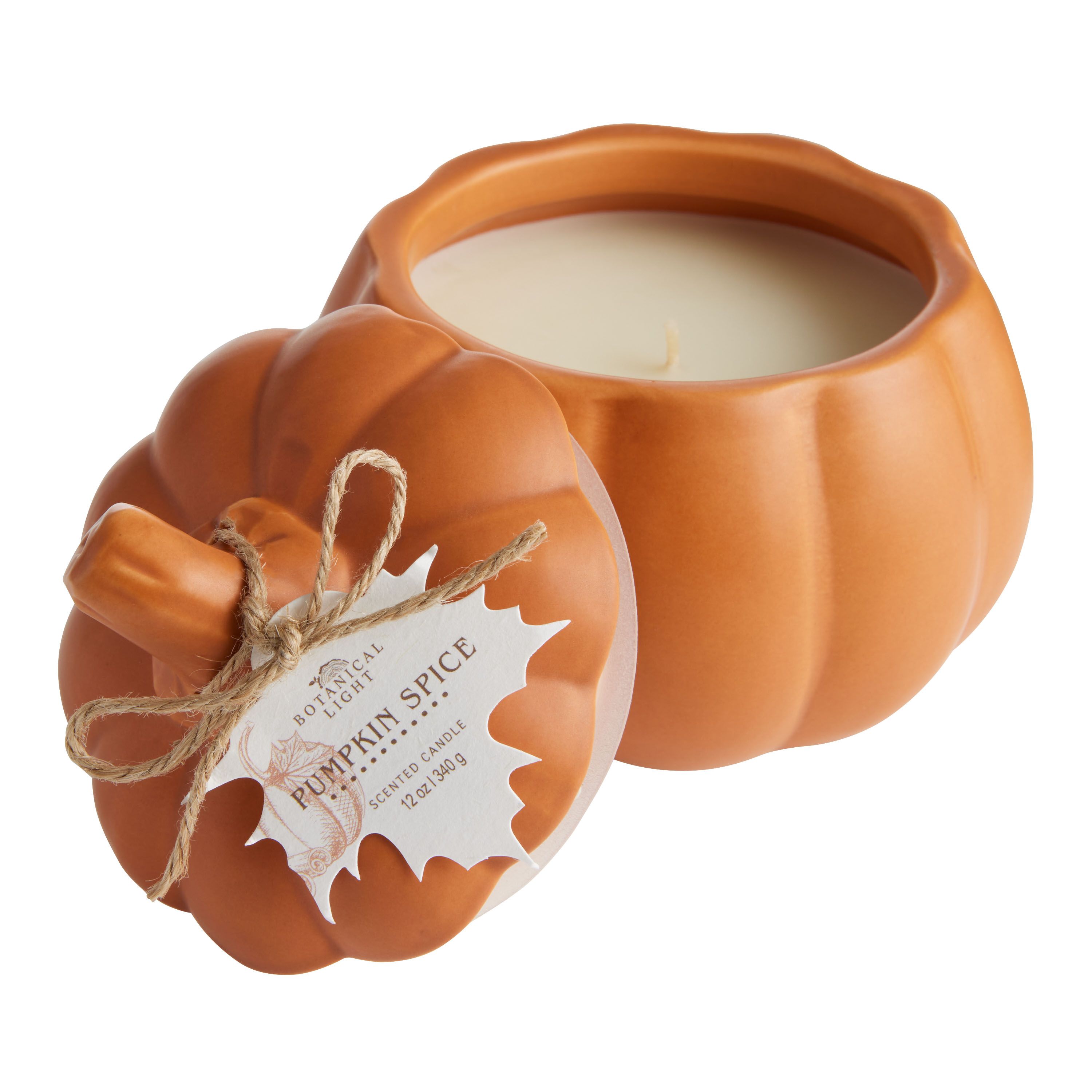 Pumpkin Spice Ceramic Pumpkin Scented Candle | World Market