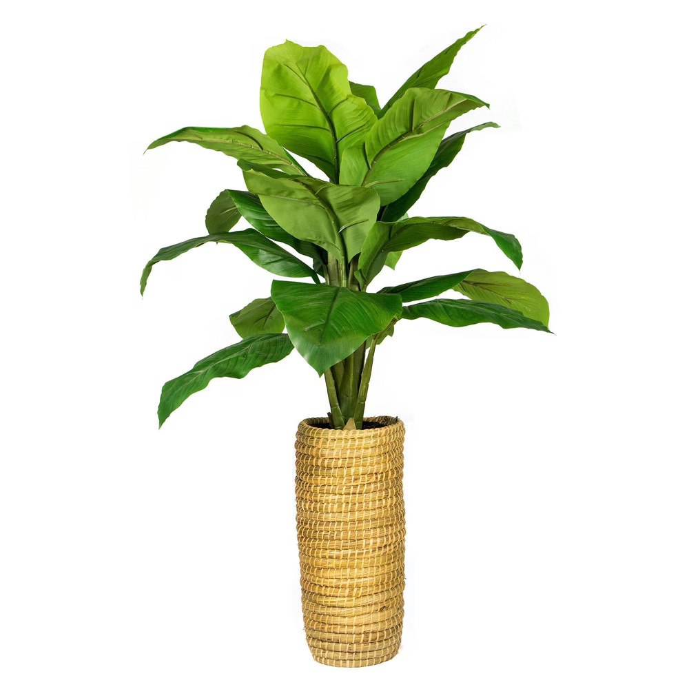 48" x 26" Artificial Spath Plant in Cylinder Basket - LCG Florals | Target