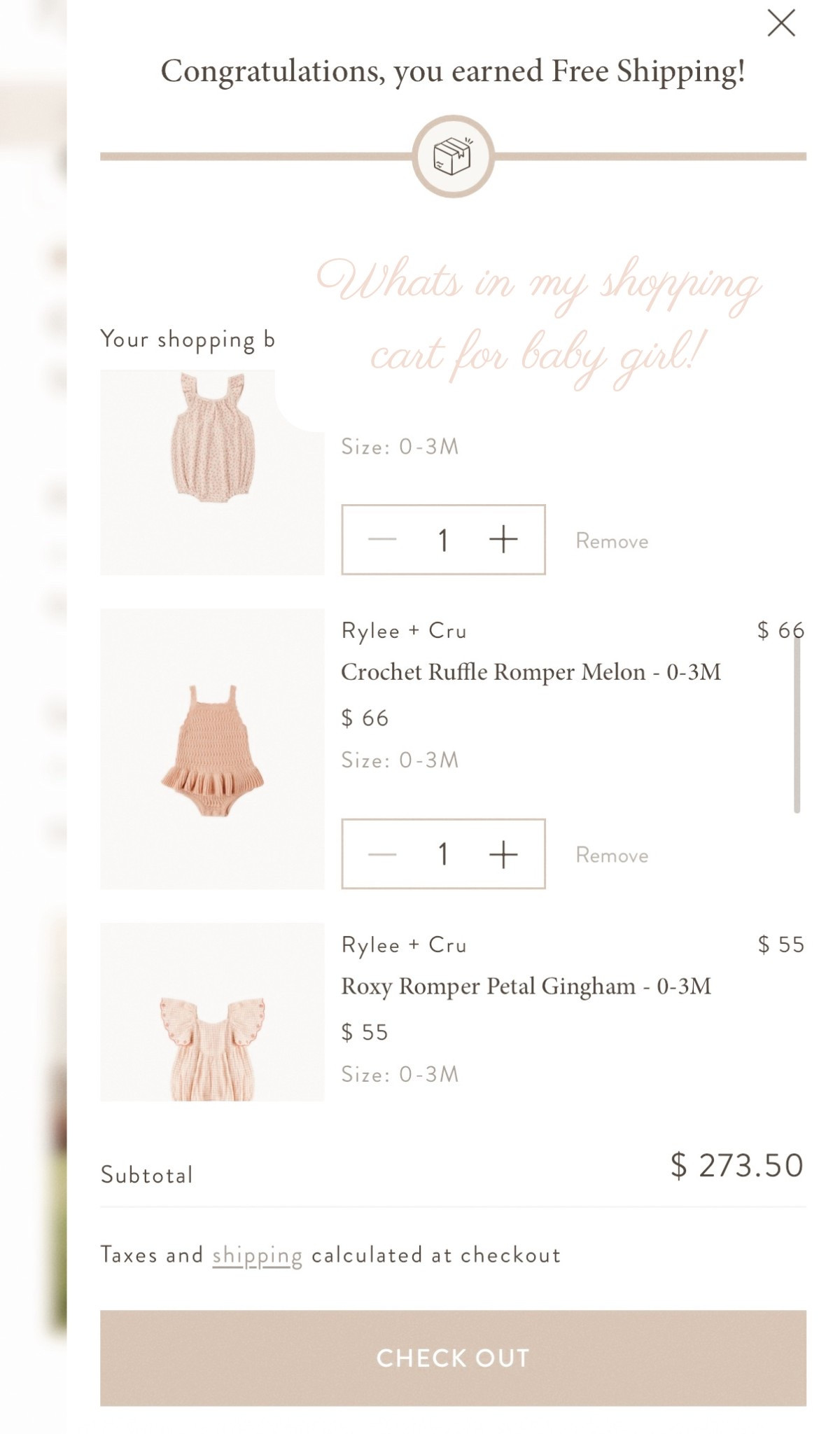 what’s in my shopping cart for our in home newborn photos 🫧🩰🧸🎀💓🕊️

#LTKKids #LTKBaby #LTKmomlife