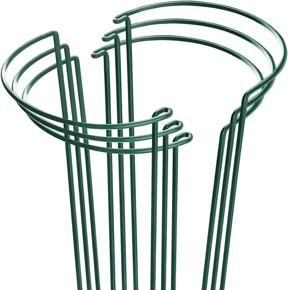 HiGift Plant Support Stakes, 6 Pack Metal Peony Cages and Supports, Garden Stakes Plant Support C... | Amazon (US)
