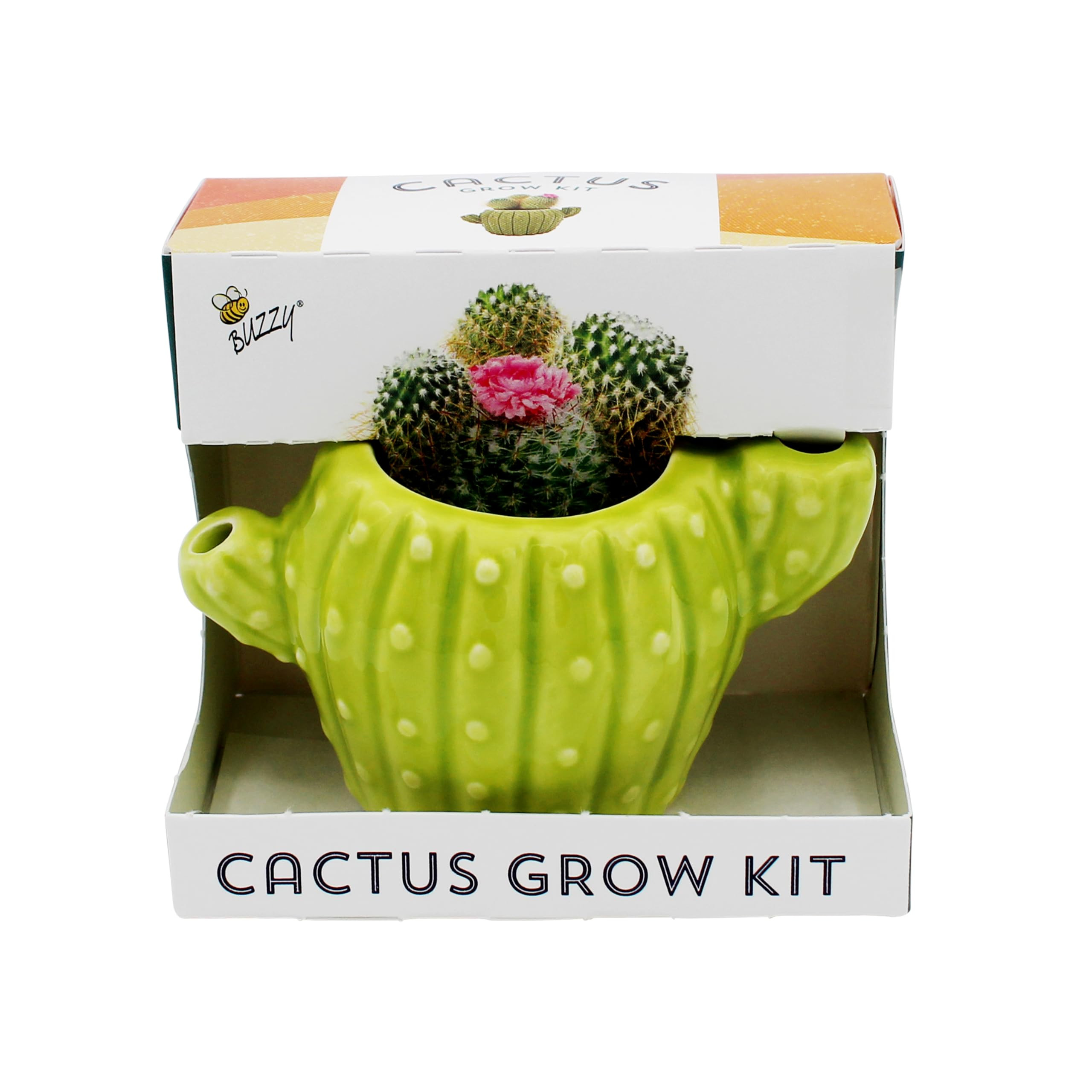 BUZZY Seeds 4pk Mini Cactus Grow Kit with Ceramic Planter, Succulent Seeds, Growing Medium, Easy ... | Amazon (US)