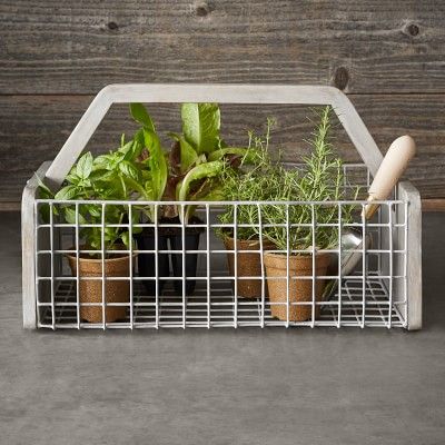 Williams Sonoma Gardening Basket | Williams-Sonoma