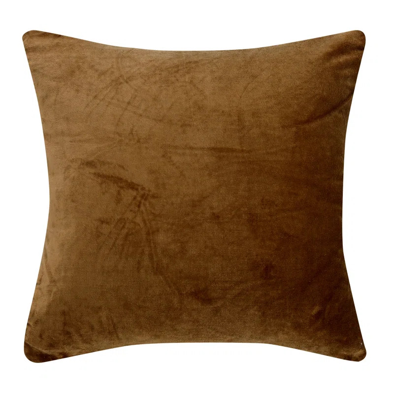Velvet Throw Pillow | AllModern