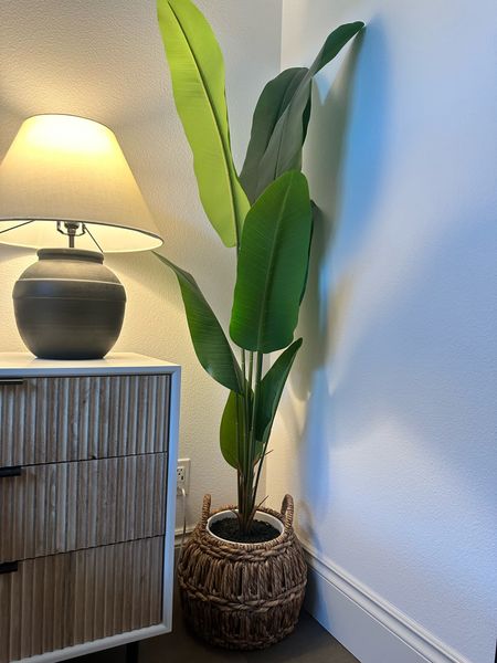 Banana Leaf Tree and Basket
.
#target #targethome

#LTKhome