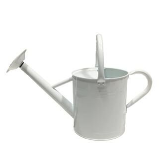 18.5" White Watering Can by Ashland® | Michaels Stores