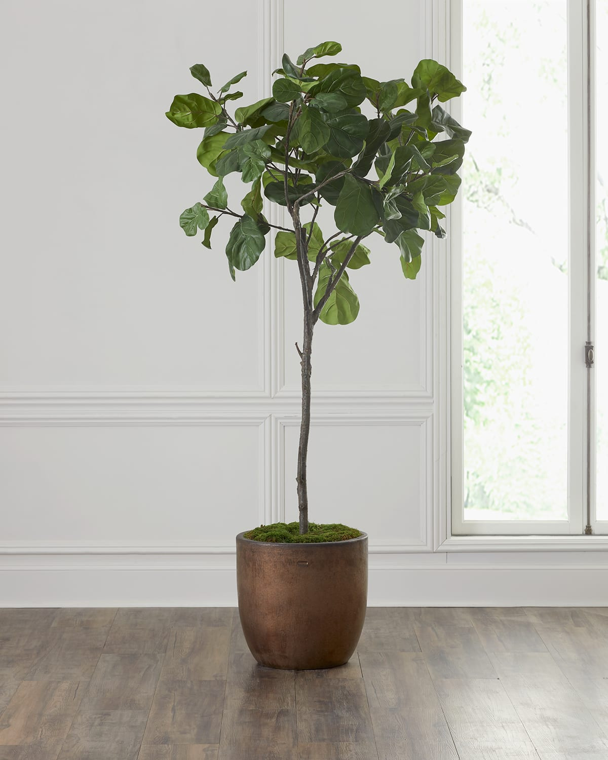 Fiddle Leaf Fig | Horchow