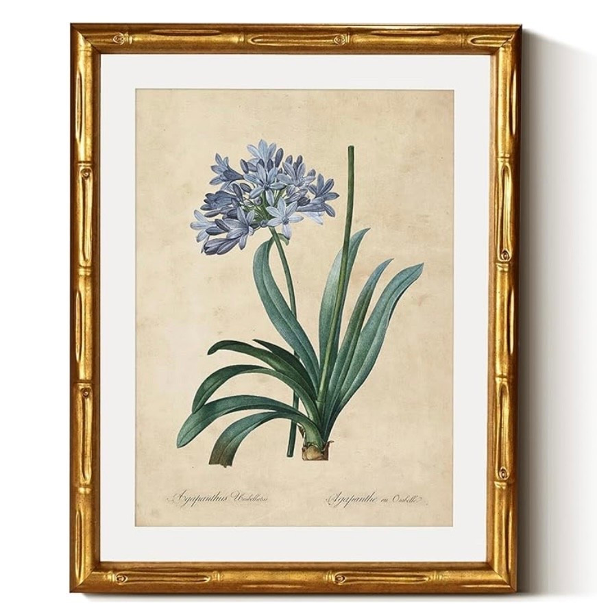 Gorgeous!!!!!! 

#LTKHome