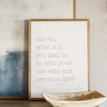 LIY x Joyfully Said | Precious Life | Joyfully Said