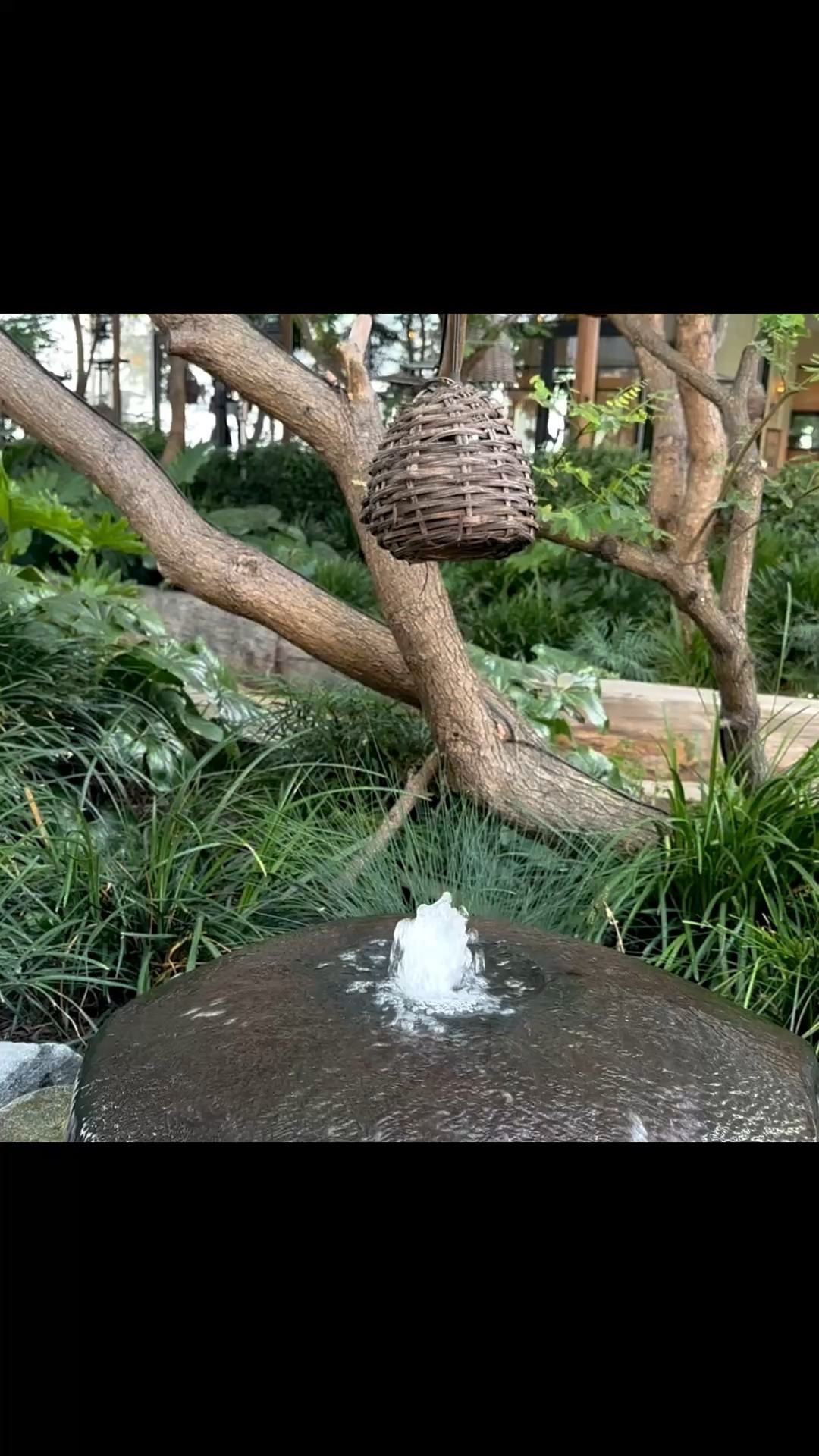 Starting the new week with the calming sound of water and a gentle breeze.  

The soft movement of an outdoor fountain paired with a woven pendant lightly swaying in the wind creates such a peaceful atmosphere — quiet, grounding, and effortlessly beautiful.  

It’s these subtle details — moving water, natural textures, warm lighting, and outdoor air — that make a space feel truly serene and restorative.  

A little resort-inspired moment to begin the week.  

#outdoorliving #wovenlighting #outdoorpendant #fountain #waterfeature #serenespaces #gardenstyle #resortvibes #modernoutdoor #outdoorlighting #peacefulhome #luxuryoutdoorliving

#LTKdayinmylife #LTKHome #LTKSaleAlert