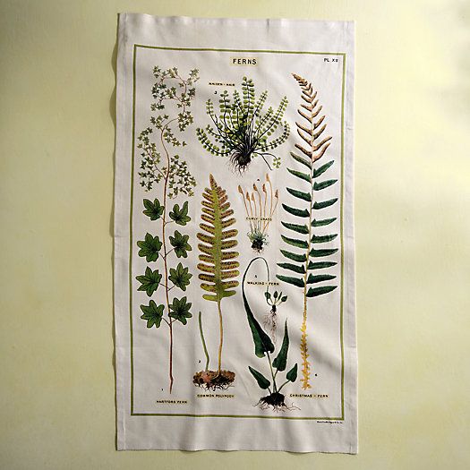 Ferns Cotton Dish Towel | Terrain