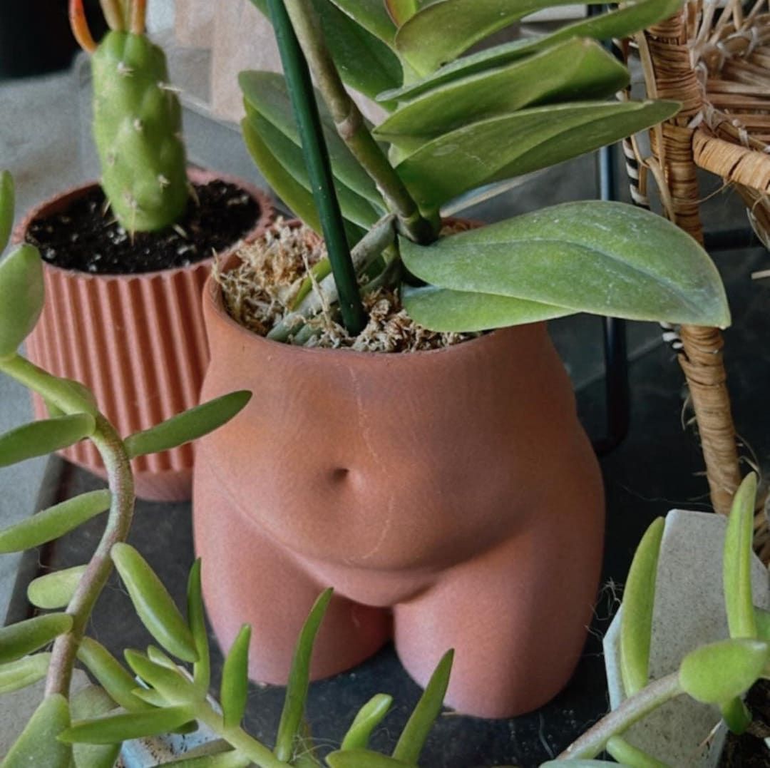 Curvy Peachy Modern Planters 3D Printed Planters Modern Home Decor Butt Planter - Etsy | Etsy (US)