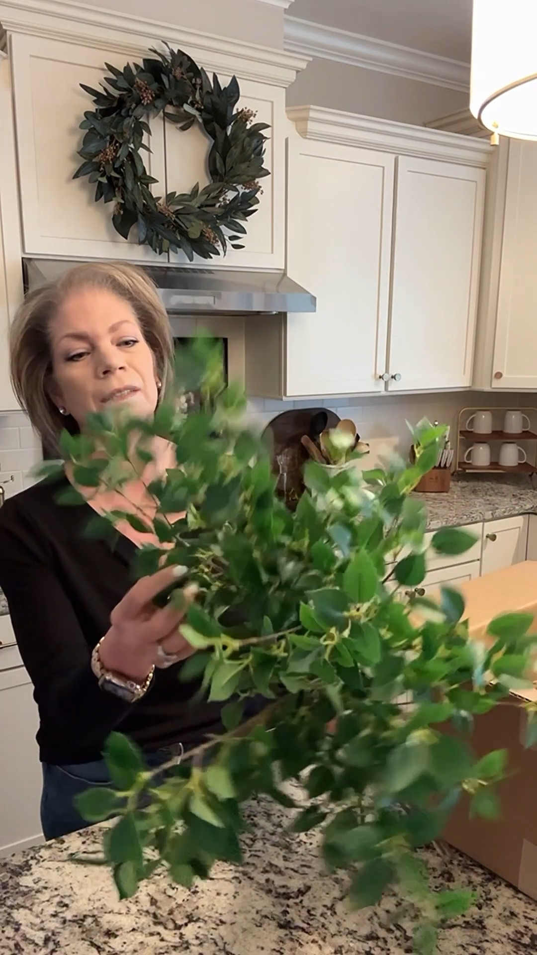 Banyan Leaf Stems
These are a perfect stem to decorate with after the holidays. They add that cozy once the Christmas decor is put away🥰



#LTKFindsUnder50 #LTKHome #LTKSeasonal