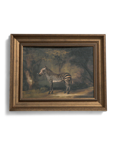 16x20 Zebra Wall Art | TJ Maxx
