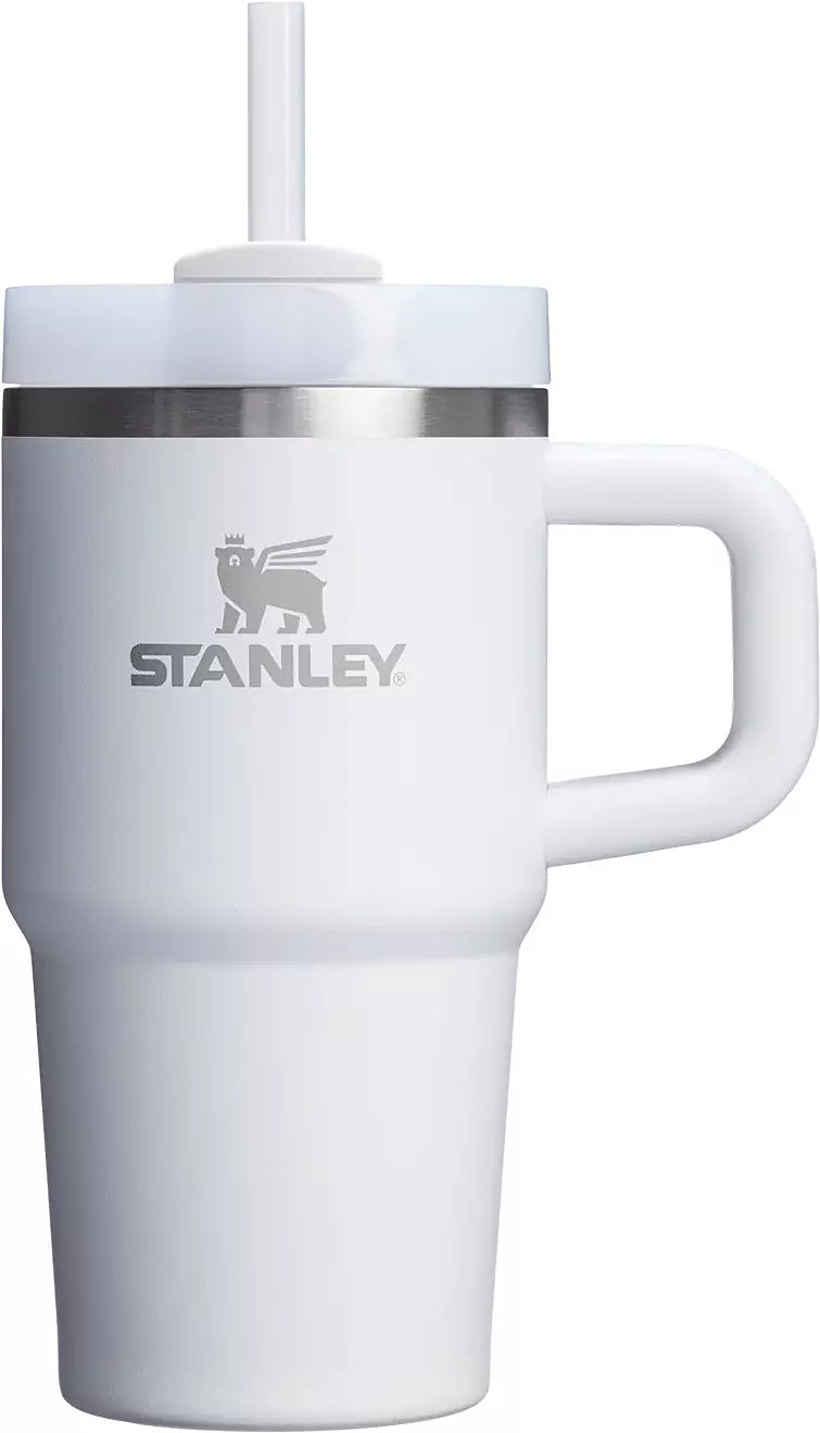 Stanley 20 oz. Quencher H2.0 FlowState Tumbler with Handle | DICK'S Sporting Goods