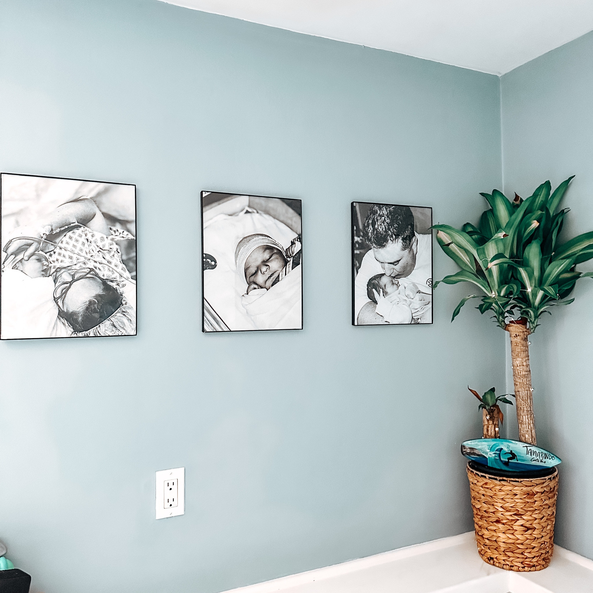 Baby boy nursery decor 🌴

#LTKkids #LTKbaby #LTKhome