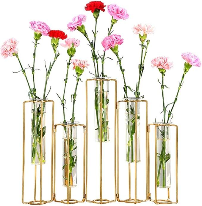 Hinged Flower Vases Test Tube Flower Vase with 5 Test Tubes Gold Metal Frame can be Bent and Cont... | Amazon (US)