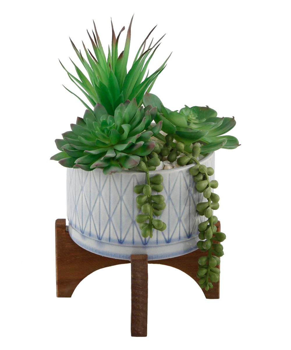Flora Bunda Floral Blue/Green/Brown - Green & White Succulent Mix in Romam Planter & Potted Stand | Zulily
