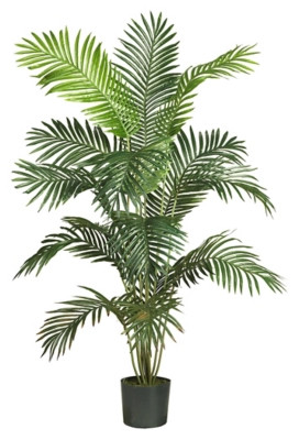 6' Paradise Palm | Ashley Homestore