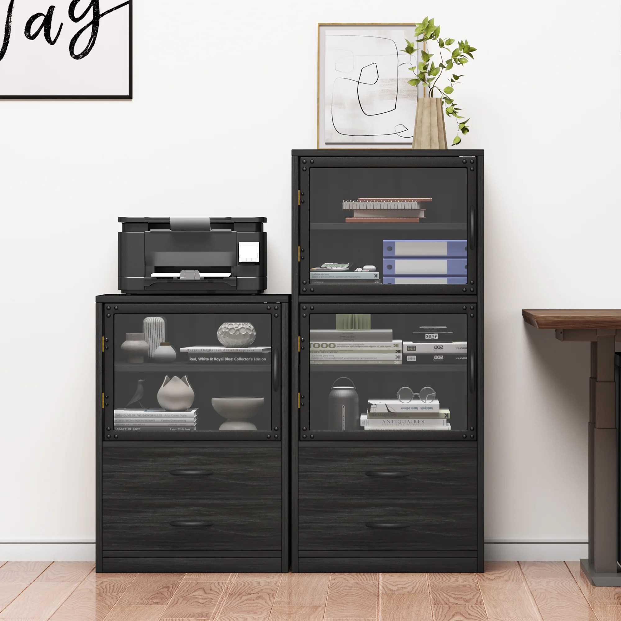 Dextrus 19.7'' Wide 2 -Drawer File Cabinet with Transparent Cabinet Doors and Adjustable Shelves,... | Walmart (US)