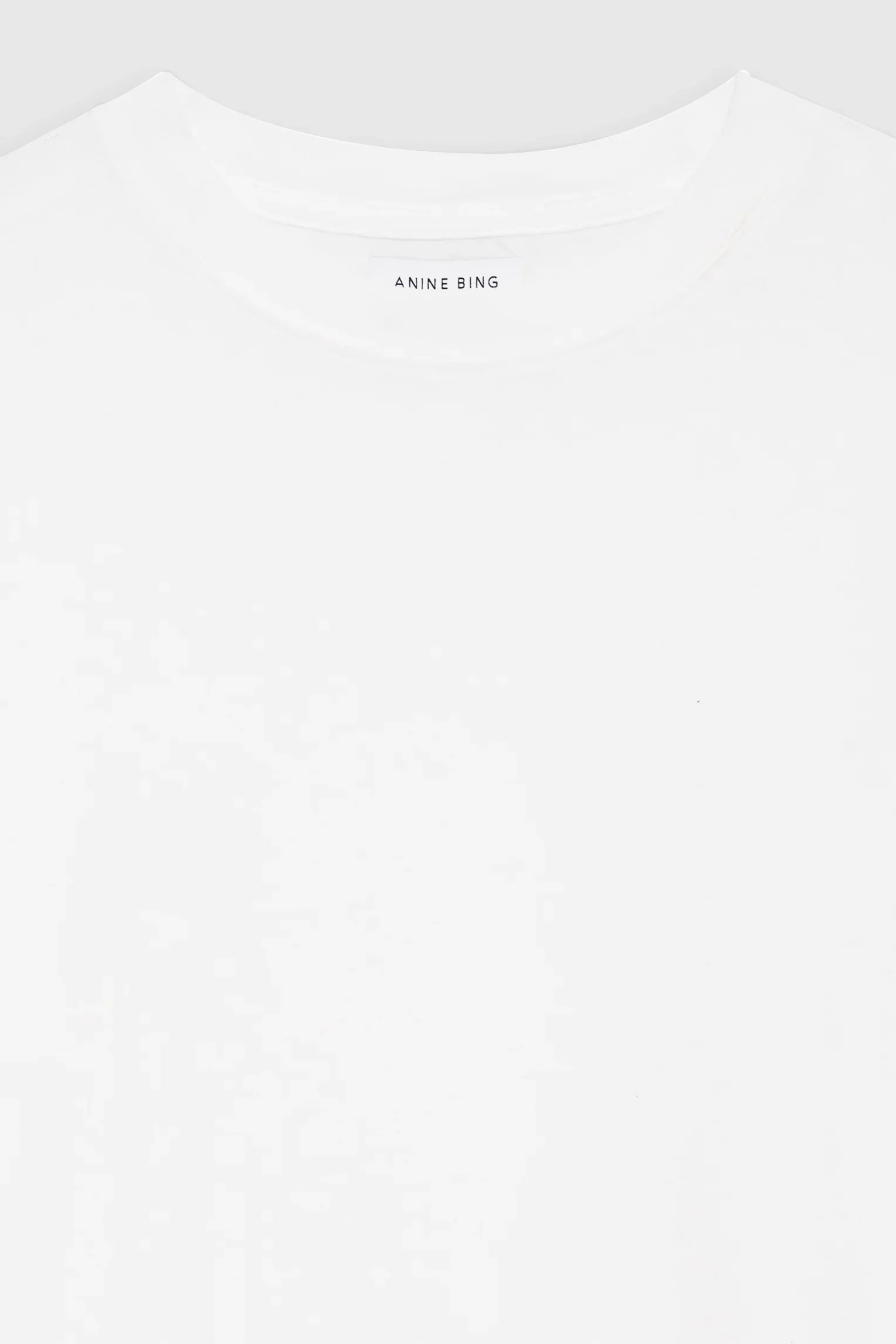 Lili Tee in Burnout | ANINE BING | Anine Bing