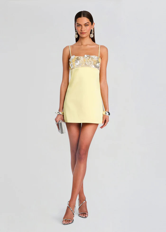 Lark Embroidered Dress | Retrofete