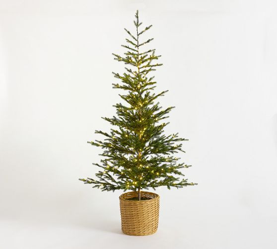 Lit Pine Tree in Basket | Pottery Barn (US)