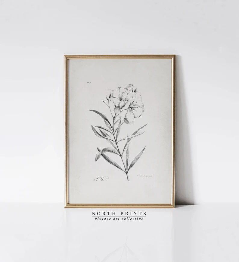 Minimalist Vintage Flower Sketch Art PRINTABLE | Botanical Drawing Antique Downloadable | 1150 - ... | Etsy (US)