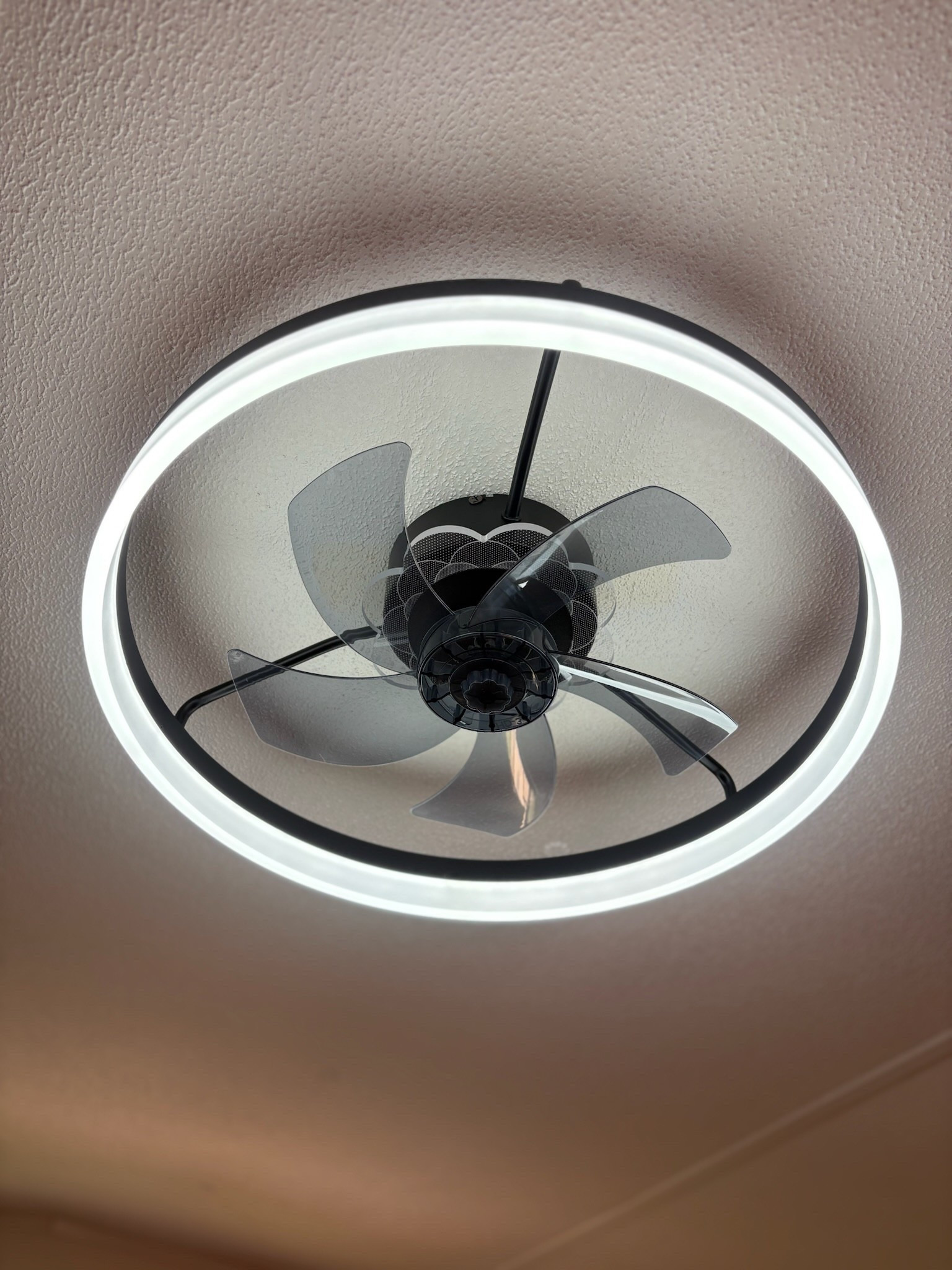 The fans we got for the camp!

#LTKHome