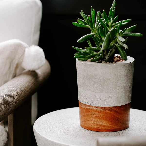 BLOSSOM | MEDIUM PLANTER | Uncommon James